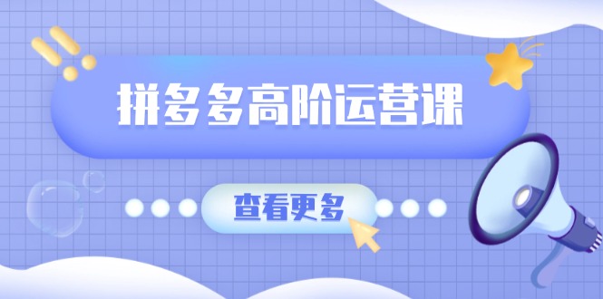 拼多多高阶运营课：极致群爆款玩法，轻付费无尽复制，打造单品爆款之路 - 宏盛创业网-宏盛创业网