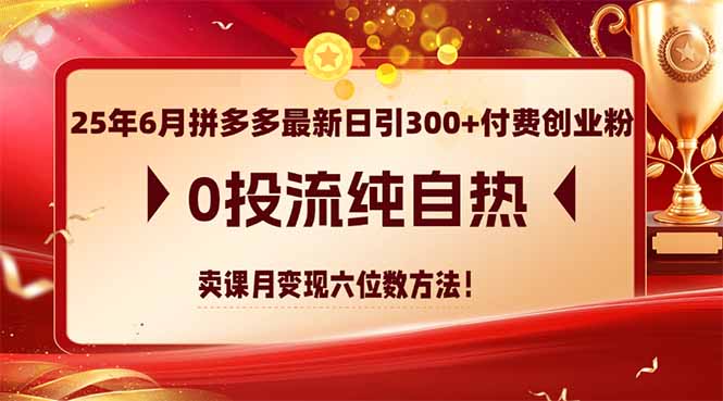 25年6月拼多多最新日引300+付费创业粉，0投流纯自热 卖课月变现六位数方法 - 宏盛创业网-宏盛创业网