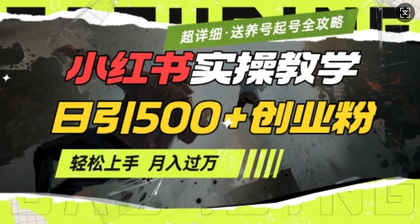 2月小红书最新日引500+创业粉实操教学【超详细】小白轻松上手，月入1W+，附小红书养号起号SOP - 宏盛创业网-宏盛创业网