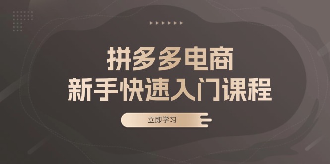 拼多多电商新手快速入门课程：涵盖基础、实战与选款，助力小白轻松上手 - 宏盛创业网-宏盛创业网