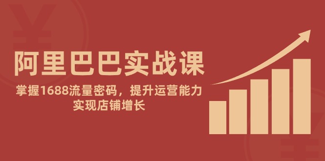 阿里巴巴实战课：掌握1688流量密码，提升运营能力，实现店铺增长 - 宏盛创业网-宏盛创业网