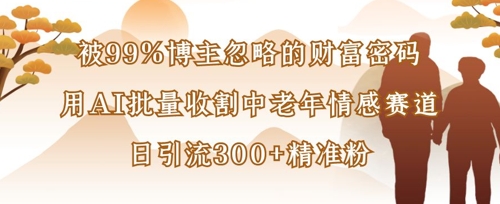 被99%博主忽略的财富密码：用AI批量收割中老年情感赛道，日引流300+精准粉 - 宏盛创业网-宏盛创业网