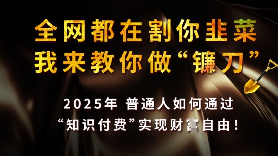 全网都在割你韭菜，我来教你做镰刀，2025普通人如何通过知识付费，实现财F自由【揭秘】 - 宏盛创业网-宏盛创业网